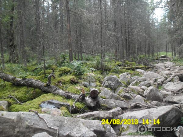 Гора Иремель (Башкирия, Белорецкий район) фото