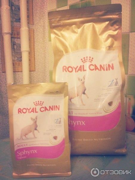 Royal Canin для сфинксов