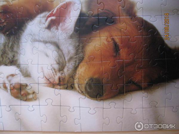 Пазлы Trefl puzzle