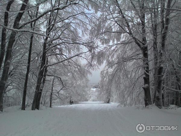 Ай-Петри, подъем на плато со стороны п. Соколиное