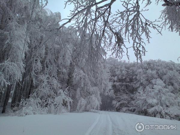 Ай-Петри, трасса 26 км