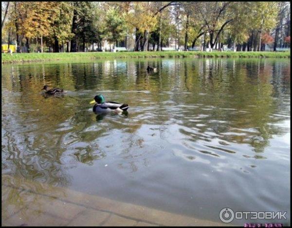 Город Брест (Белоруссия) фото