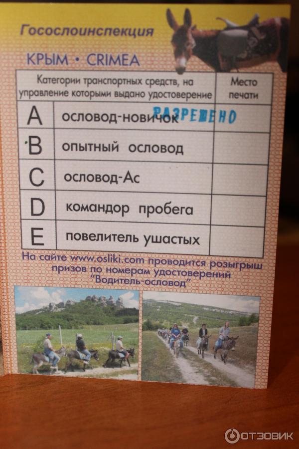 Ослиная ферма Чудо-ослик (Россия, Крым) фото