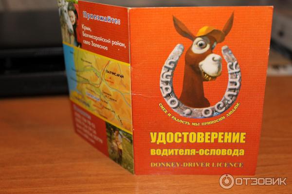 Ослиная ферма Чудо-ослик (Россия, Крым) фото