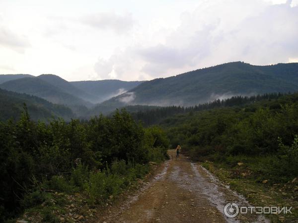 Дорога к Манявскому водопаду