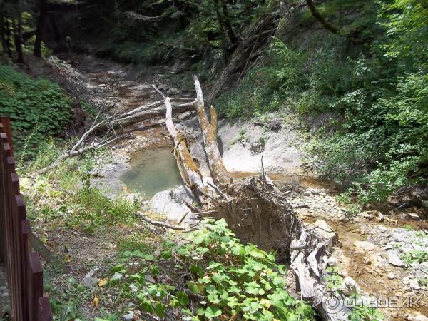 Гебиусские водопады (Россия, Краснодарский край) фото