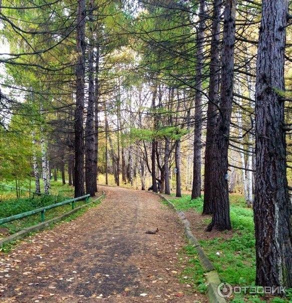 Ботанический сад УрО РАН (Россия, Екатеринбург) фото