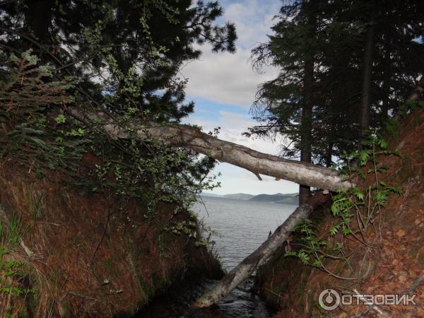 Отдых на озере Байкал фото