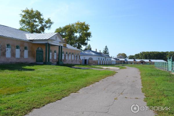 Хреновской конный завод (Россия, Воронежская область) фото