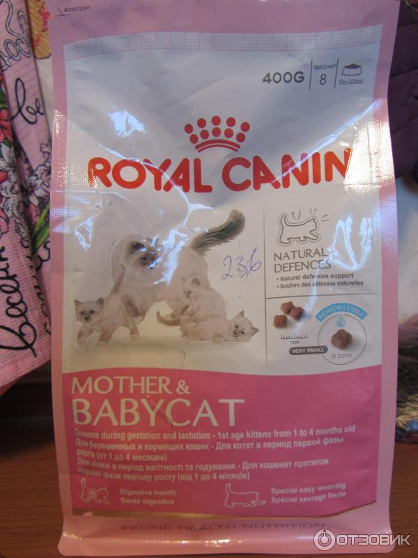 Сухой корм Royal canin для беременых кошек и котят до года фото