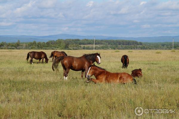 Озеро Байкал (Россия, Иркутская область) фото