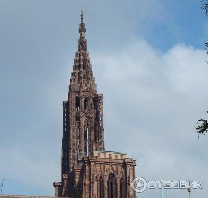 Кафедральный собор (Франция, Страсбург) фото