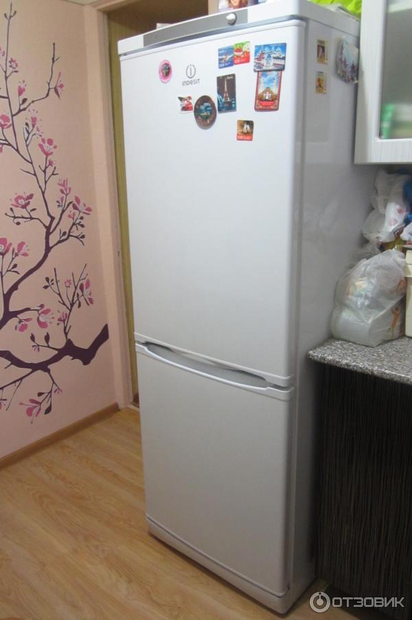 Холодильник Indesit SB 167 фото