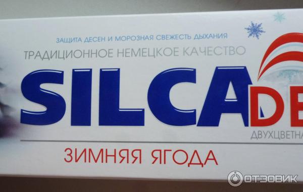 Зубная паста Silca Зимняя ягода фото