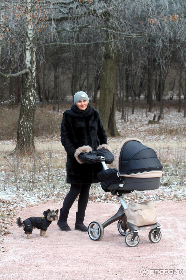 Зимник Stokke Winter Kit фото