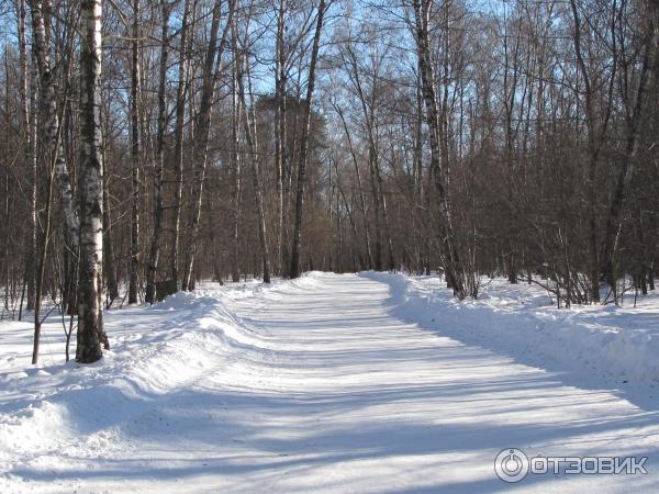 Выставка Цветущая Азия в Главном Ботаническом саду (Россия, Москва) фото