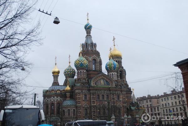 Собор Воскресения Христова Спас-на-крови (Россия, Санкт-Петербург) фото