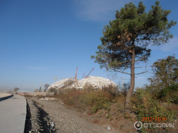 Экскурсия по олимпийской деревне (Россия, Сочи) фото