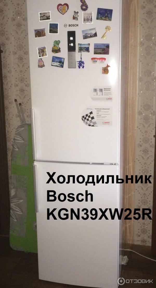 Холодильник Bosch KGN39XW25R фото