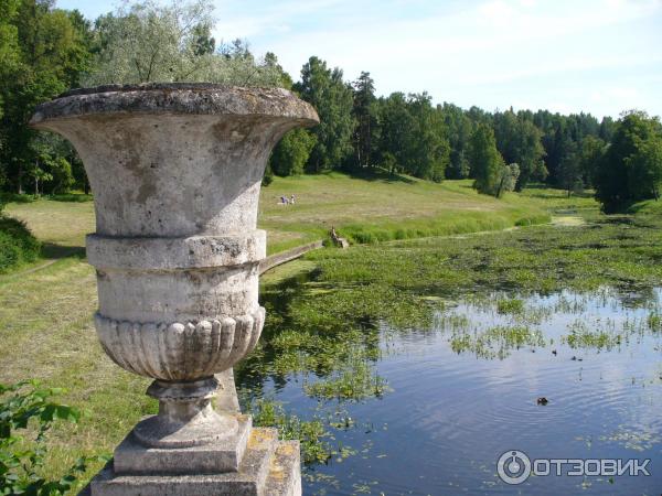 Музей-заповедник Павловск (Россия, Санкт-Петербург) фото