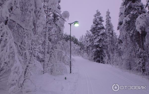 Горнолыжный курорт Леви (Финляндия, Лапландия) фото