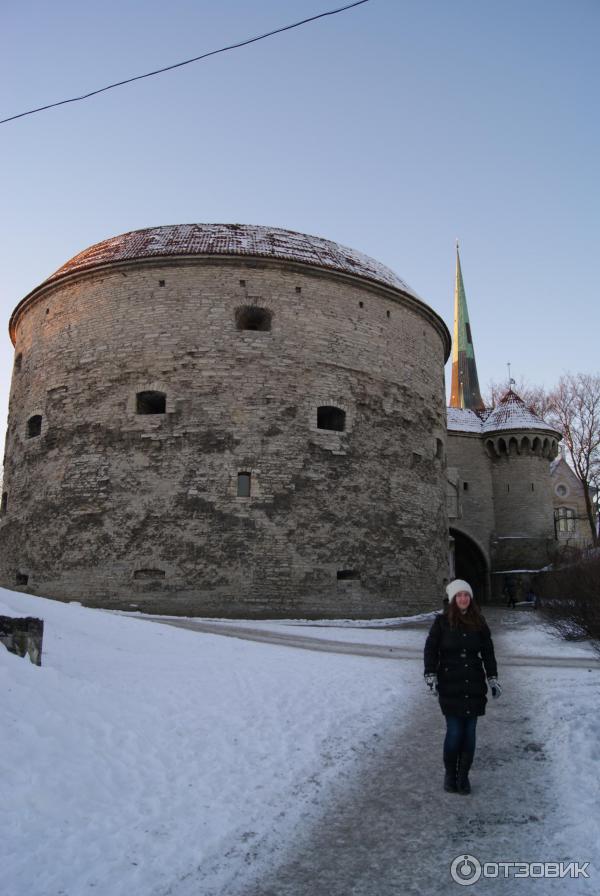 Смотровая площадка Толстая Маргарита (Эстония, Таллин) фото