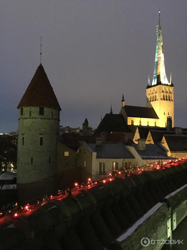 Смотровая площадка Толстая Маргарита (Эстония, Таллин) фото