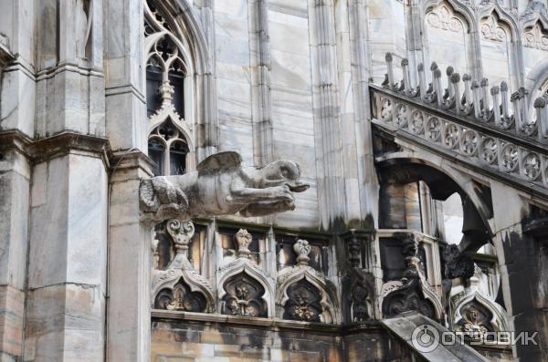 Кафедральный собор Duomo di Milano (Италия, Милан) фото