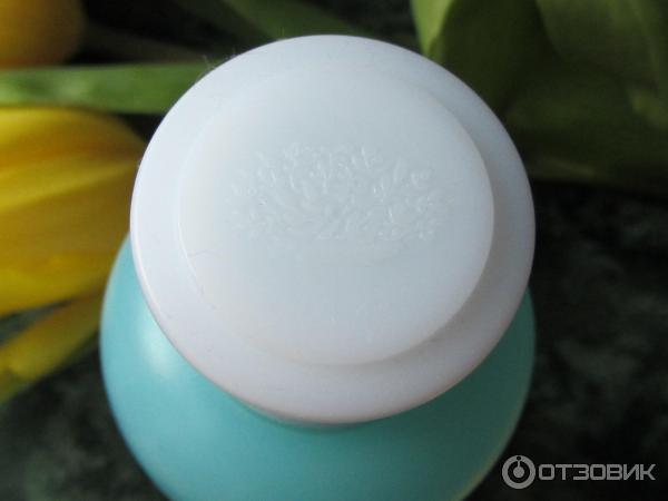 Тоник Innisfree green persimmon pore toner фото