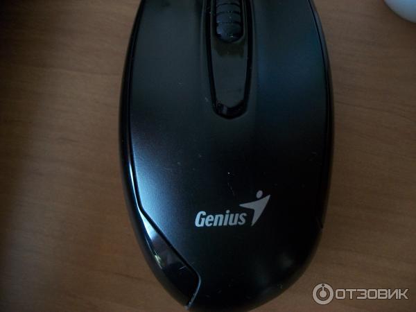 Мышь оптическая Genius DX-100 Black фото