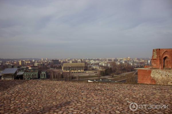 Башня Гедиминаса (Литва, Вильнюс) фото