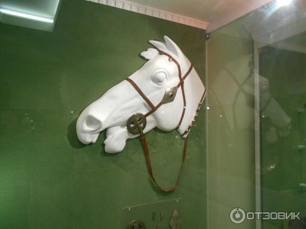 Выставка Сокровища донских степей (Россия, Ростов-на-Дону) фото