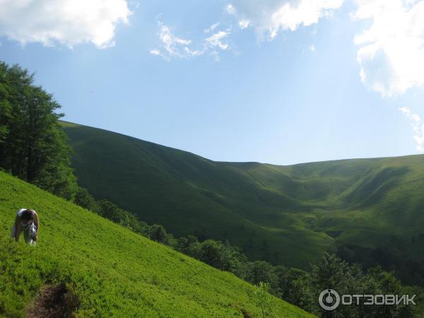 Отдых в г. Трускавец (Украина, Львовская область) фото