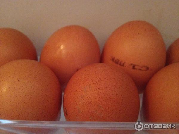 Яйца куриные Yaratelle фото