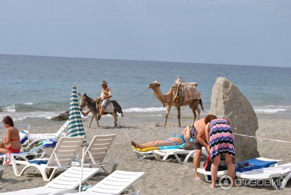 Отель Sun Star Beach Hotel 4* (Турция, Аланья) фото