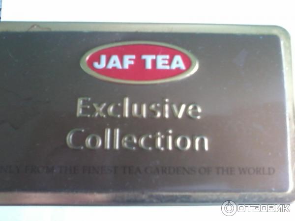 Чай Jaf Tea Forest fruit фото