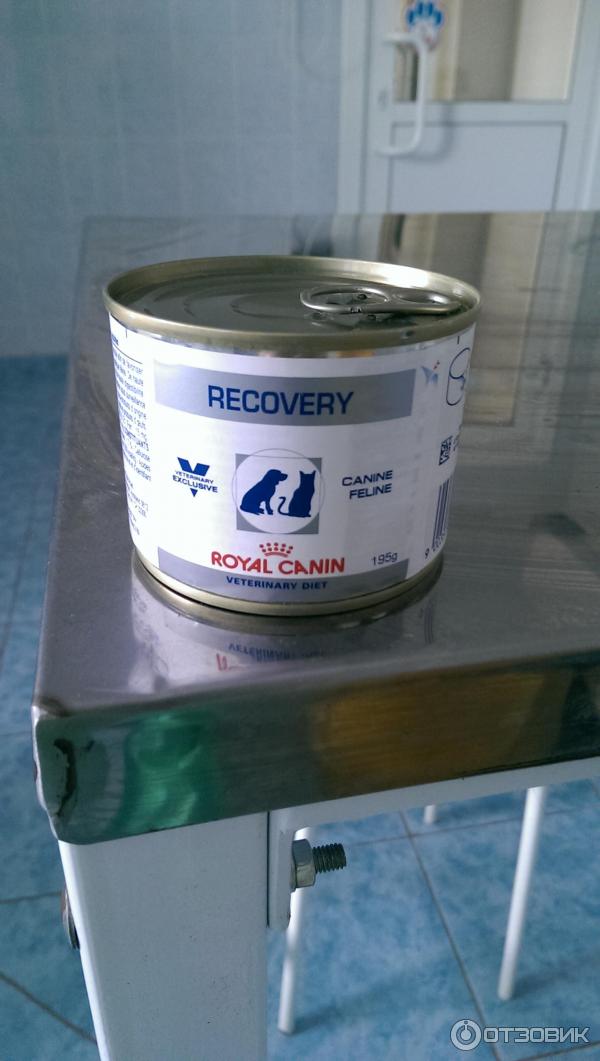 Корм для кошек и собак Royal Canin Recovery фото