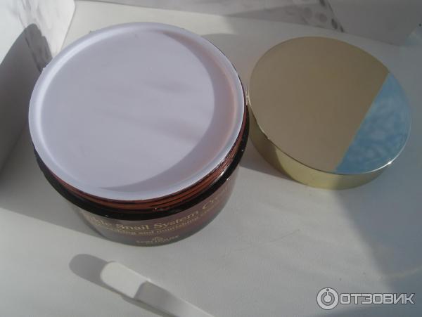 Улиточный крем для лица The Skin House Wrinkle Snail System Cream фото