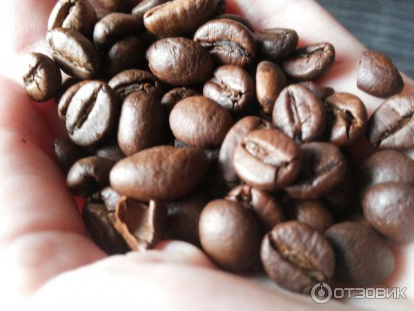Зерновой кофе Gastro Kaffe фото