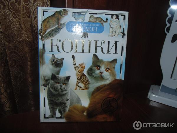 Книга Детская энциклопедия Росмэн. Кошки - Е. В. Широнина фото