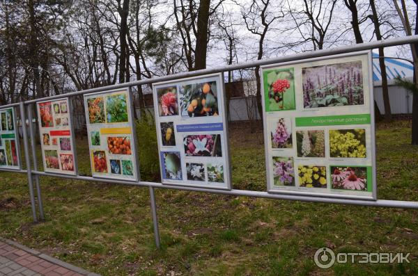 Центральный ботанический сад Национальной академии наук Беларуси (Белоруссия, Минск) фото