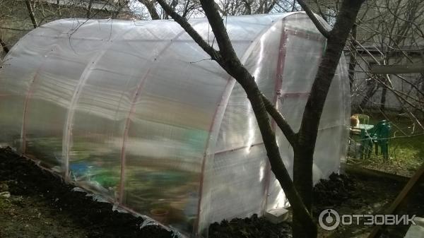 Теплица степная отзыв