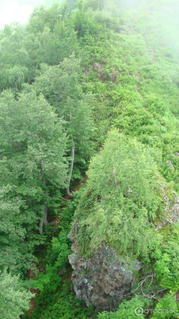 Канатная дорога на хребет гор Аигба (Россия, Красная поляна) фото