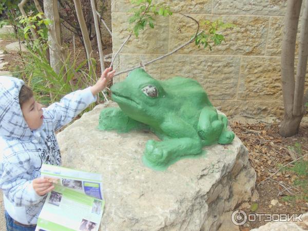 Зоопарк Zoo in Gan-Ha'em (Израиль, Хайфа) фото