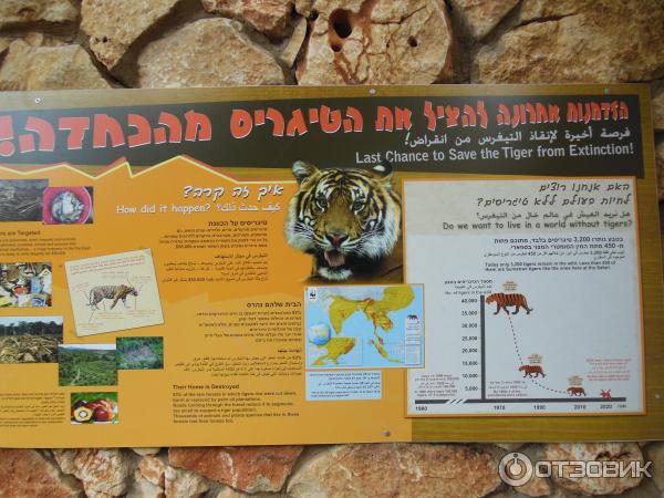 Зоопарк Zoo in Gan-Ha'em (Израиль, Хайфа) фото