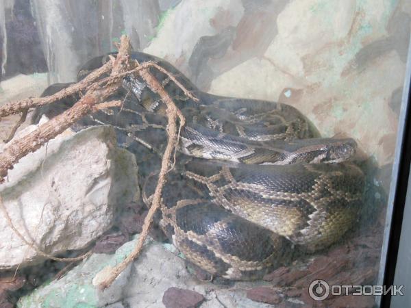 Зоопарк Zoo in Gan-Ha'em (Израиль, Хайфа) фото