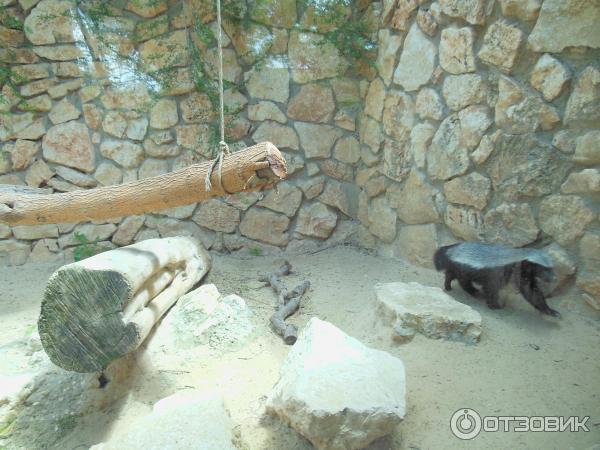 Зоопарк Zoo in Gan-Ha'em (Израиль, Хайфа) фото