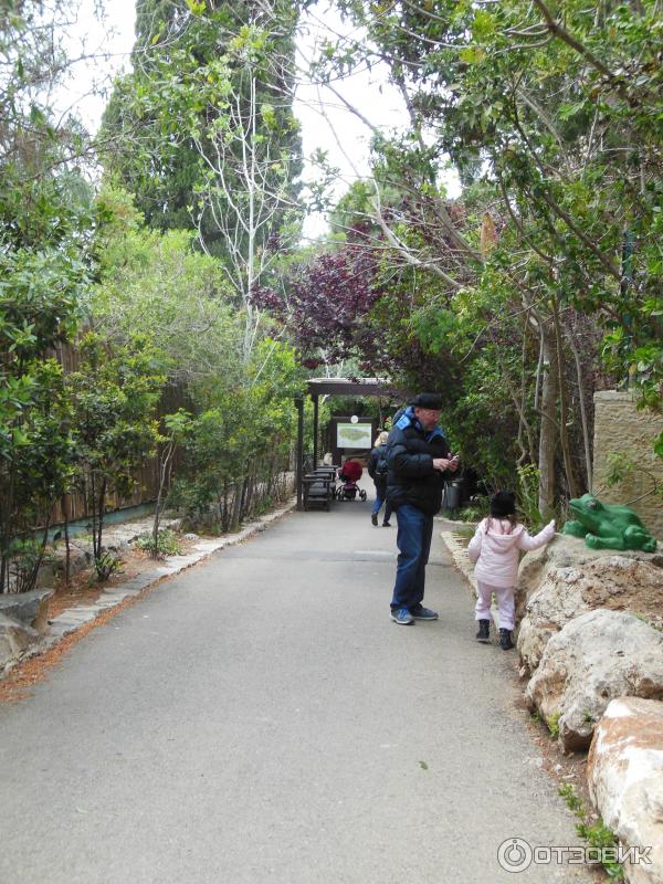 Зоопарк Zoo in Gan-Ha'em (Израиль, Хайфа) фото