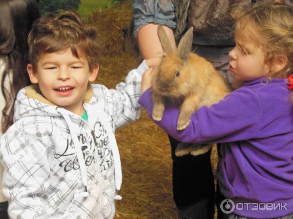 Зоопарк Zoo in Gan-Ha'em (Израиль, Хайфа) фото