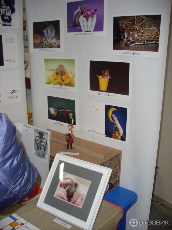 доброта вокруг!